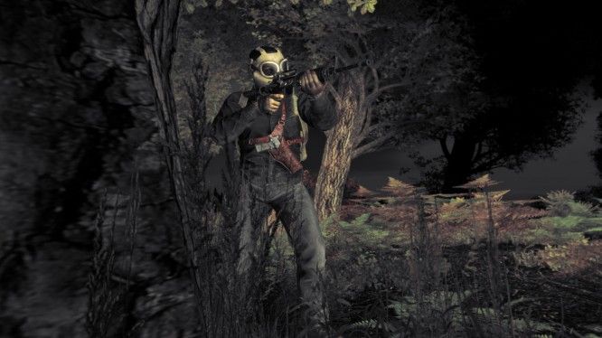 zombie-mmo-games-dayz-standalone-alpha-forest-screenshot