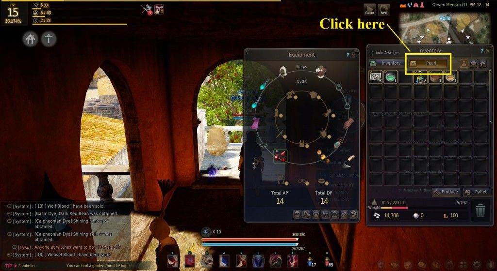 black desert how to set hot keys